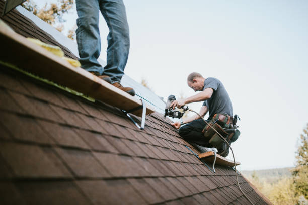 Best Roof Maintenance Services  in New Hope, MS